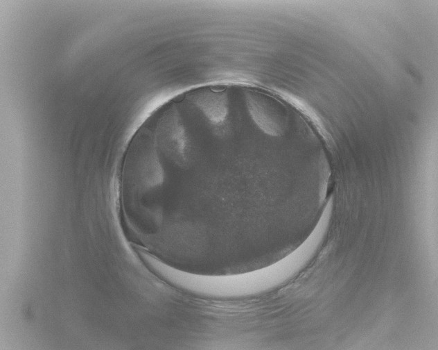 X0000116791383200912241153