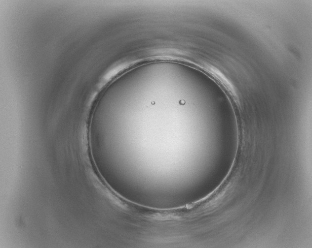 X0000116791384200912241153