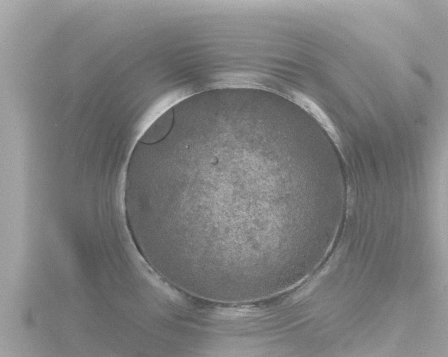 X0000116791386200912241153