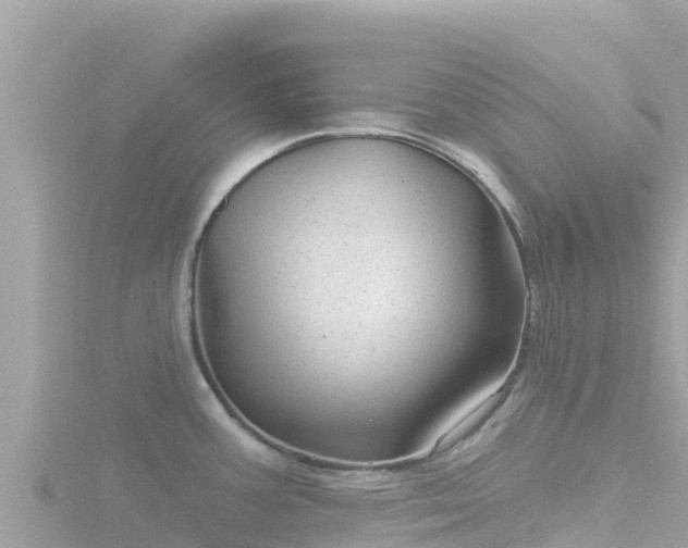 X0000116791387200912241153