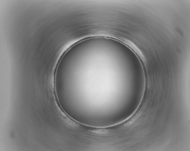 X0000116791388200912241153