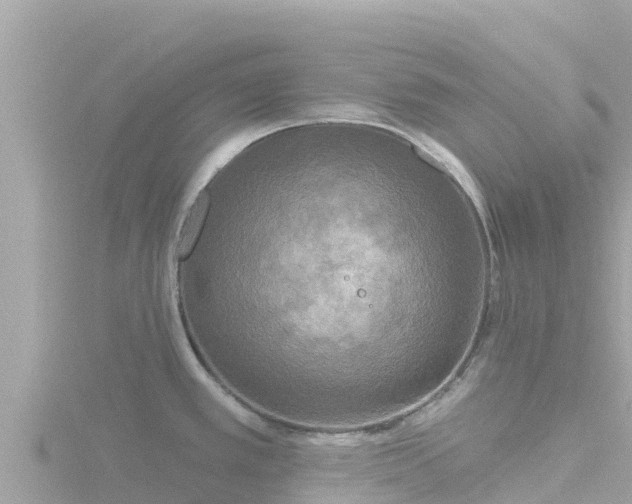 X0000116791389200912241153