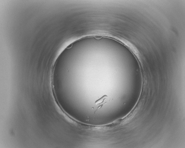 X0000116791390200912241153