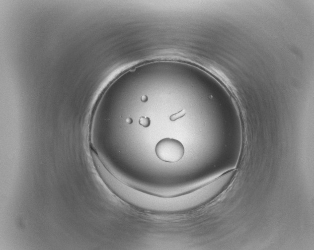 X0000116791392200912241153