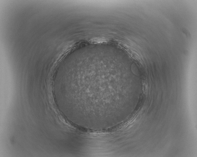 X0000116791393200912241153