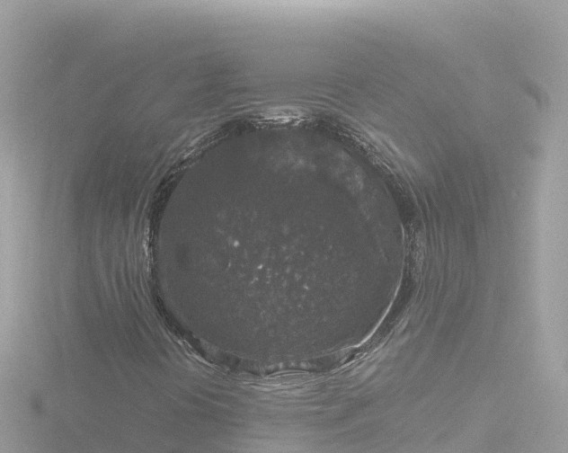 X0000116791394200912241153