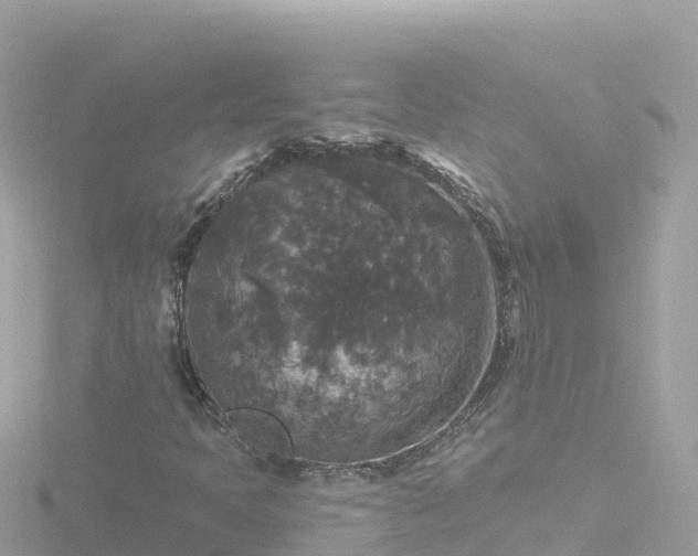 X0000116791397200912241153