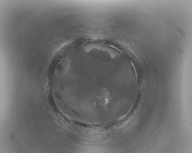 X0000116791398200912241153