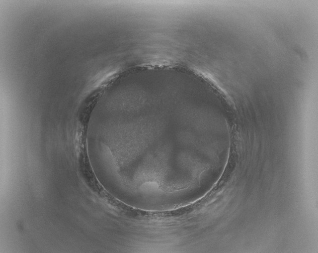 X0000116791399200912241153