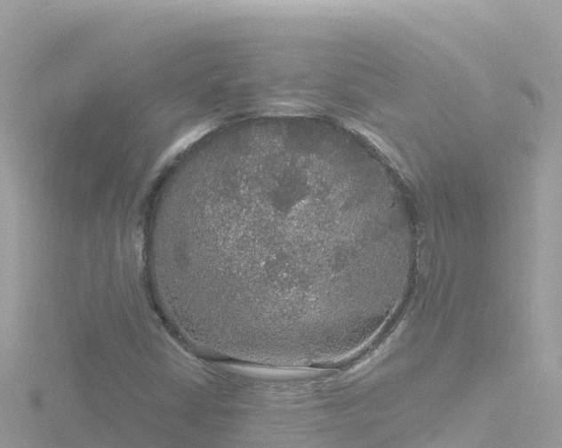 X0000116791402200912241153