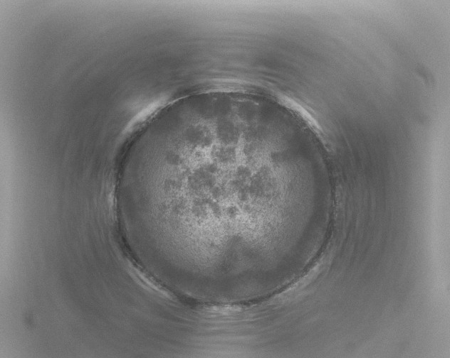 X0000116791403200912241153