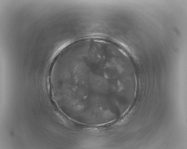 X0000116791405200912241153