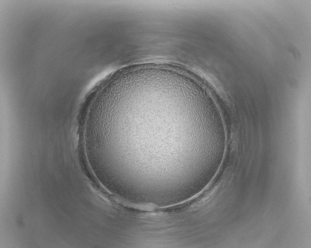 X0000116791406200912241153