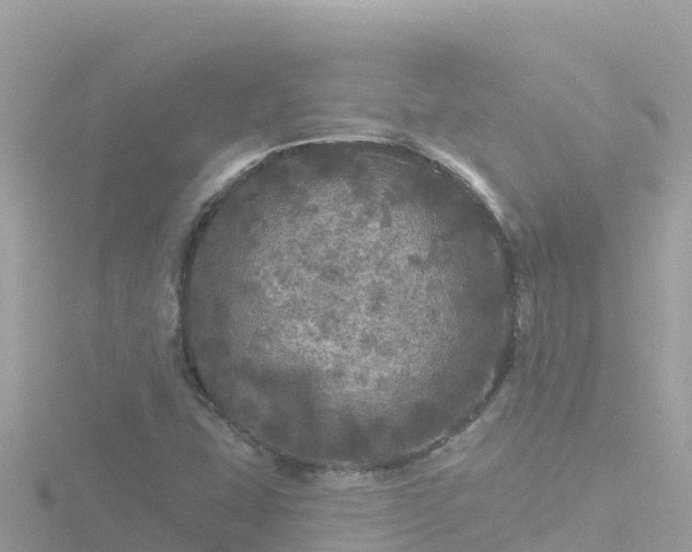 X0000116791407200912241153