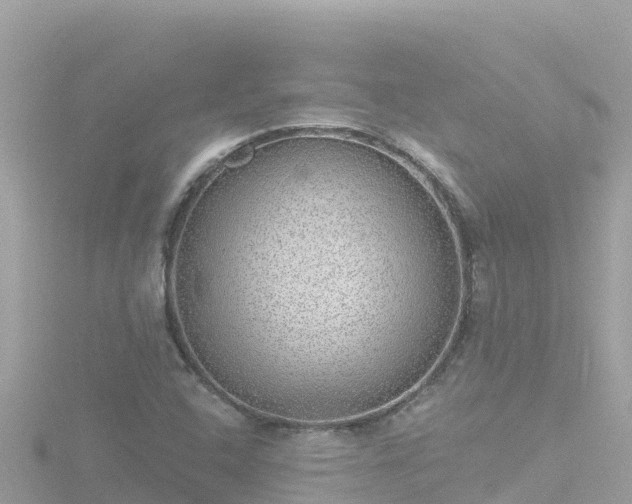 X0000116791408200912241153