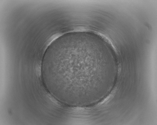 X0000116791409200912241153