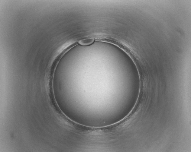 X0000116791410200912241153