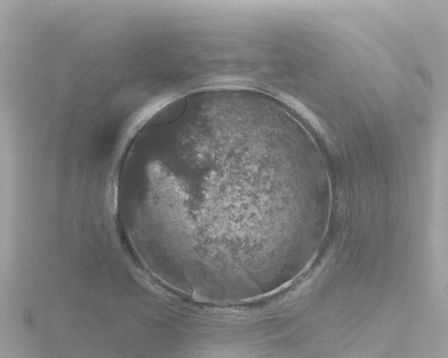 X0000116791413200912241153