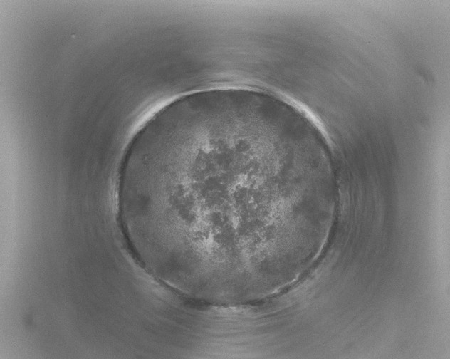 X0000116791415200912241153