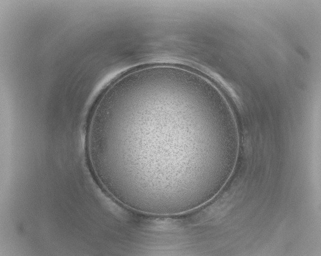 X0000116791416200912241153