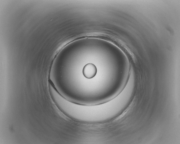 X0000116791417200912241153