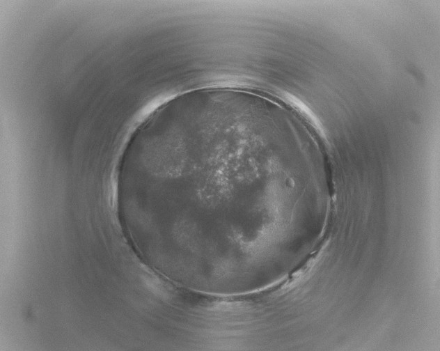 X0000116791419200912241153