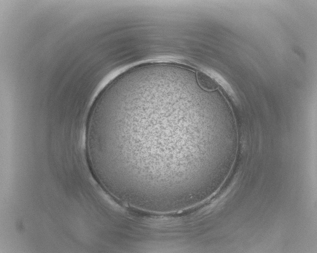 X0000116791420200912241153