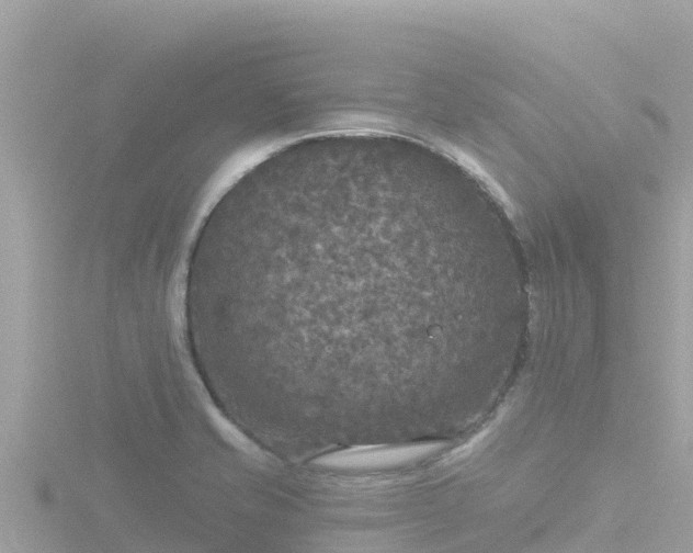 X0000116791421200912241153