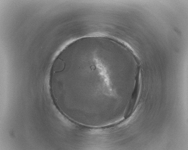 X0000116791422200912241153