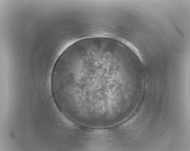 X0000116791423200912241153