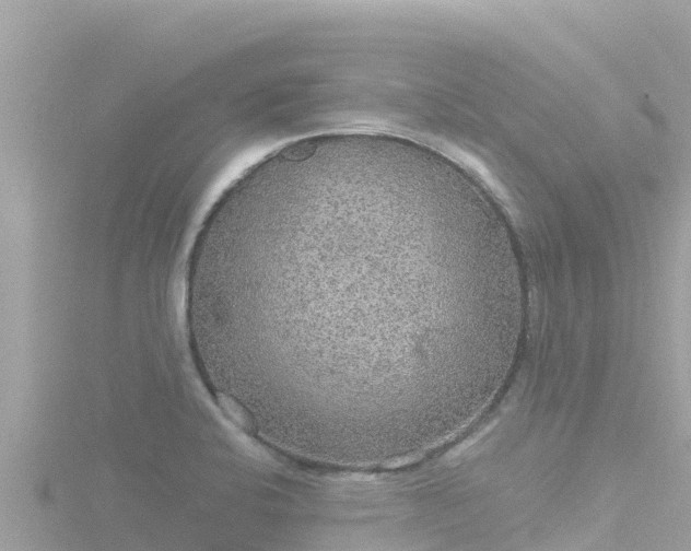 X0000116791424200912241153