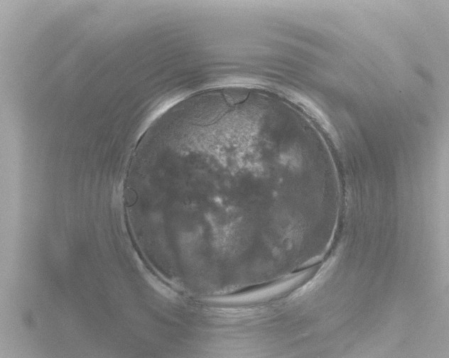 X0000116791425200912241153