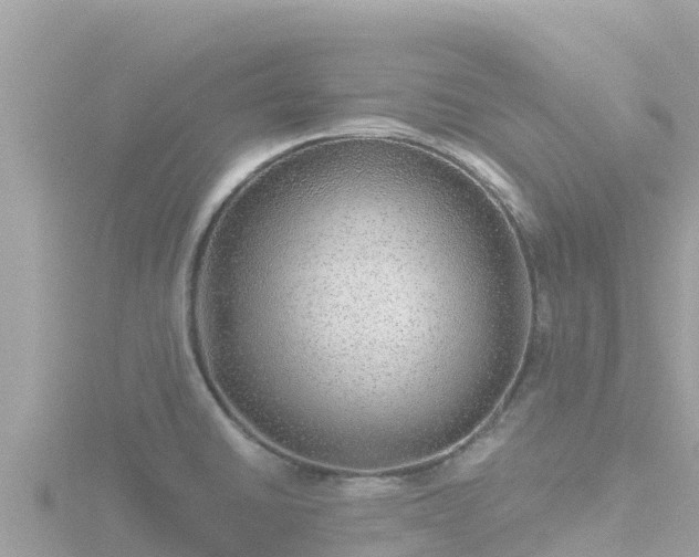 X0000116791430200912241153