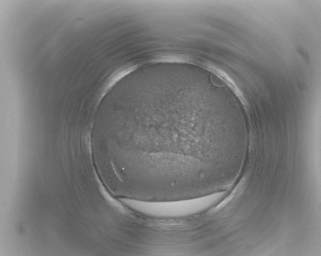 X0000116791433200912241153