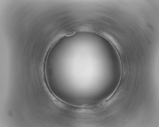 X0000116791434200912241153