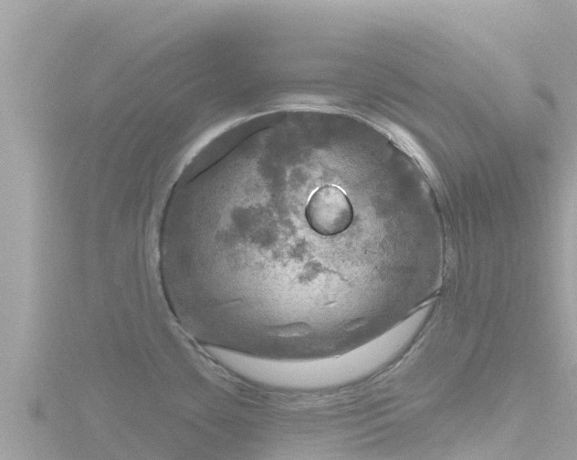 X0000116791435200912241153