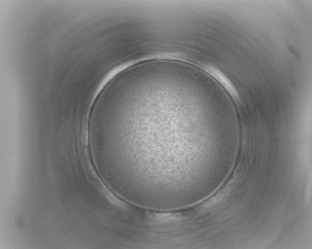 X0000116791436200912241153