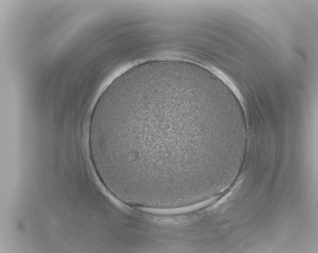 X0000116791437200912241153