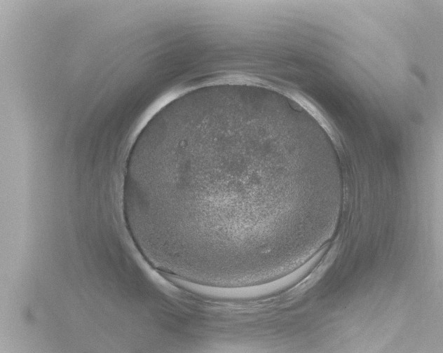 X0000116791438200912241153