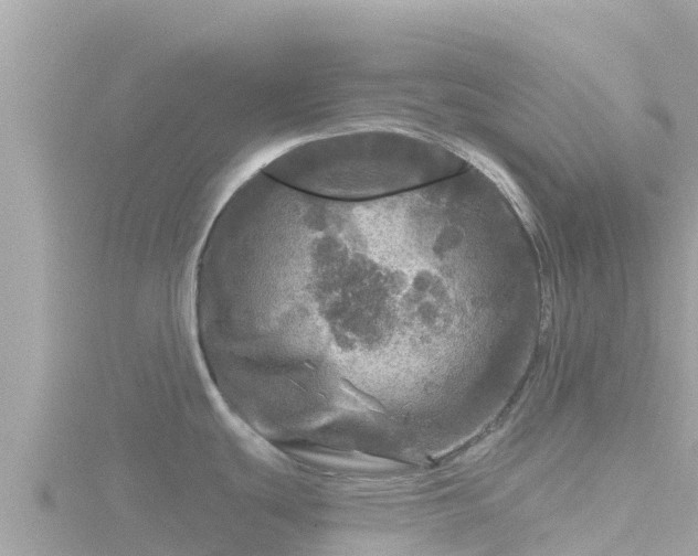 X0000116791439200912241153