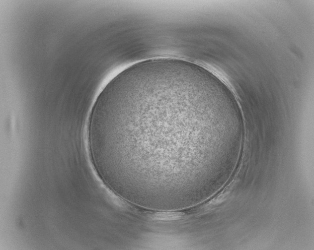 X0000116791440200912241153