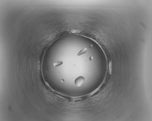 X0000116791443200912241153