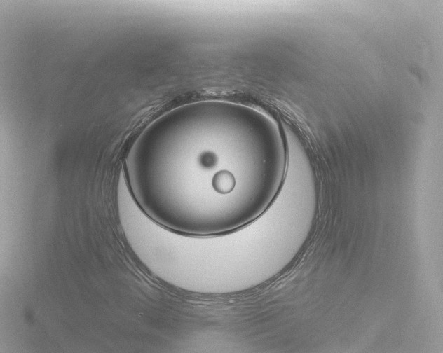 X0000116791444200912241153