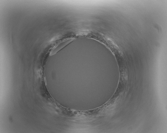 X0000116791445200912241153