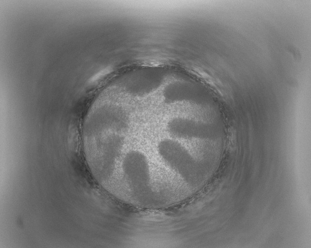 X0000116791446200912241153