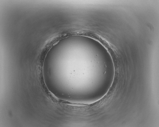 X0000116791447200912241153