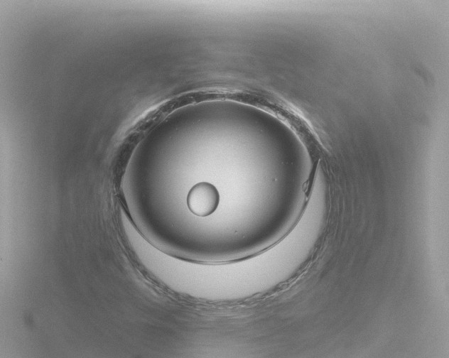 X0000116791448200912241153