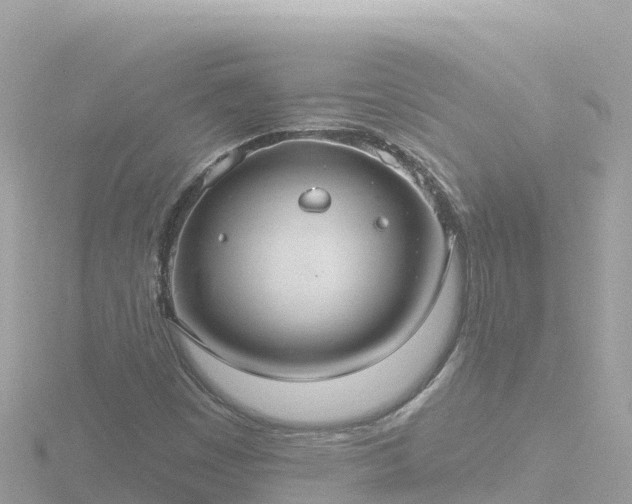 X0000116791449200912241153