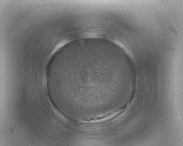 X0000116791450200912241153