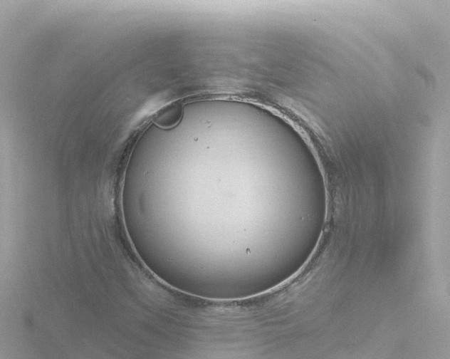 X0000116791451200912241153